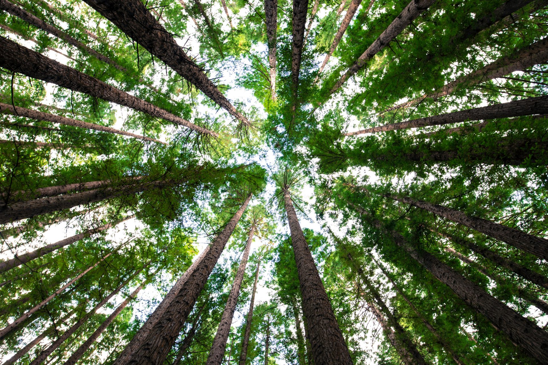 How Generative AI transforms ESG data into sustainable investment success
