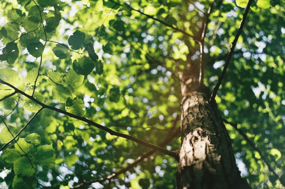 Building climate resilience in private asset investing