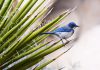 Earlybird Venture Capital closes sixth early-stage tech fund on €175m