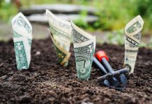 Quantivate picks up undisclosed investment from Luminate Capital Partners