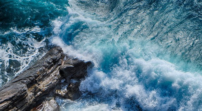 Currensea launches new business cards with cheap foreign exchange rates