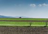 Agribusiness insurer The Exchange partners with OneShield