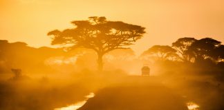 African-insurance-extreme-weather-parametric-insurtech