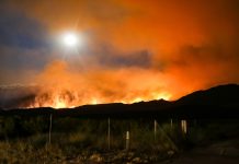 InsurTech-BetterView-partnership-NFPA-wildfire-risk-insights-insurance-california