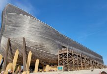 Ark