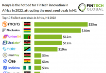 table of top 10 seed deals africa h1 2022