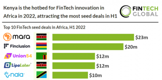 table of top 10 seed deals africa h1 2022