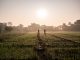 Rural-focused FinTech SarvaGram lands $35m SarvaGram