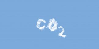 carbon-insurer-oka-pulls-in-$7m-carbon-credit-market