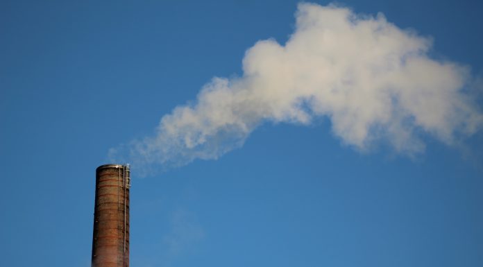 Carbon-underwriting-bolsters-leadership-team