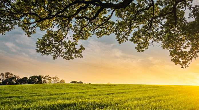 Climate tech lending startup HeavyFinance raises €3m