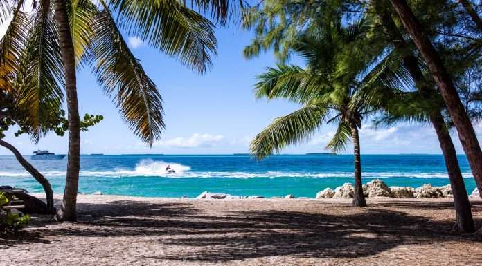 InsurTech-novidea-selected-by-jamaican-insurance-broker-AIB