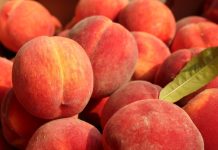 Payment gateway Peach Payments partners with Capitec