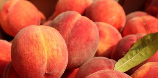 Payment gateway Peach Payments partners with Capitec