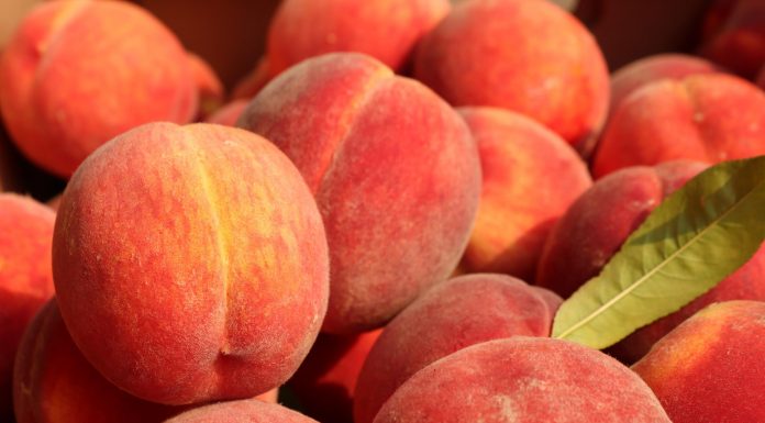 Payment gateway Peach Payments partners with Capitec