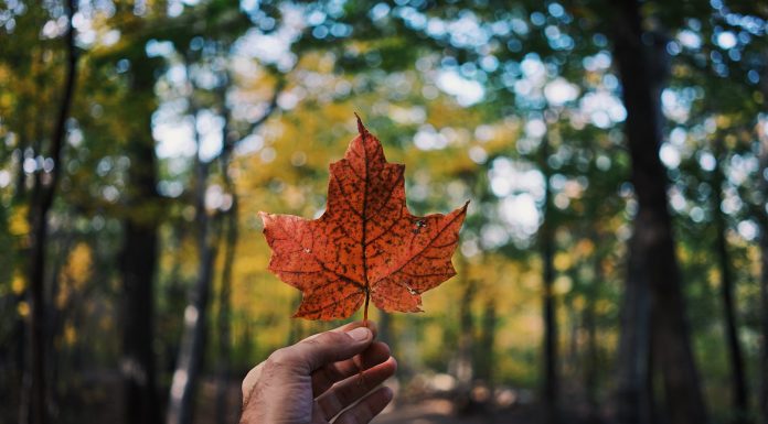 canadian-insurance-company-td-insurance-launched-product-for-canadian-small-businesses