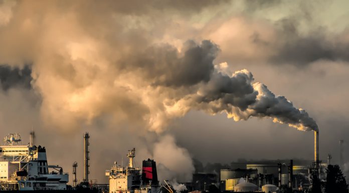 FinTech Tide eliminates all of its carbon emissions in industry-first Tide