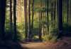 What is the regulatory outlook for ESG in 2023