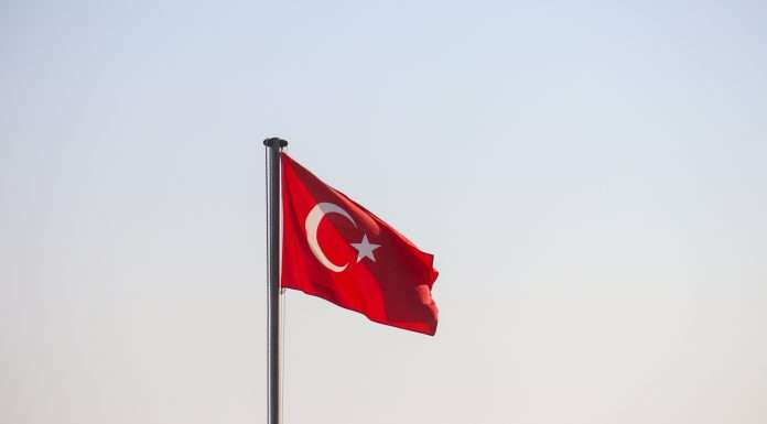 turkey-based-metatime-nets-11m