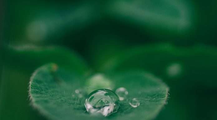 ERM and Persefoni partner to ramp up efforts towards net zero ERM