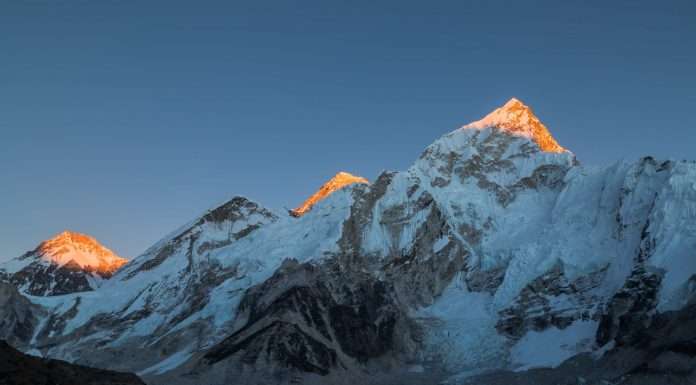 Everest-re-names-new-executive-VP