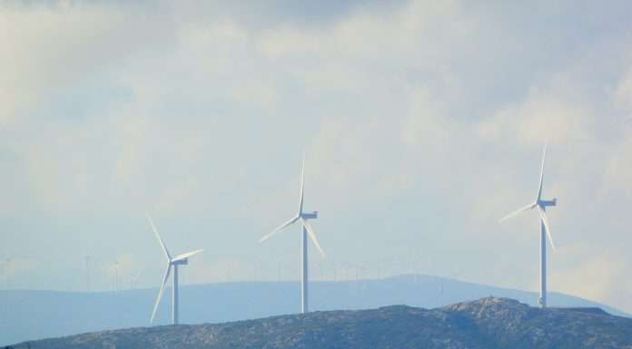 Valutico unveils ESG valuation tool Valutico