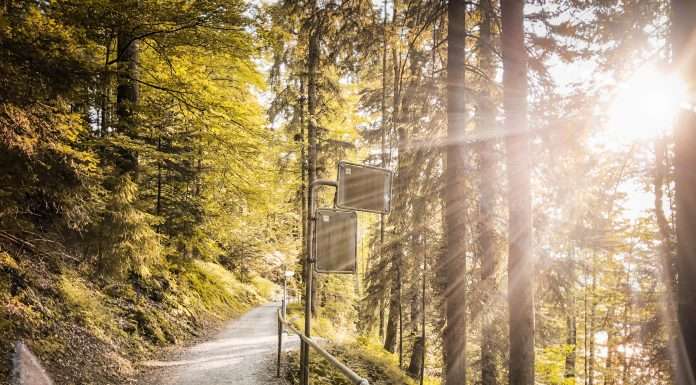 Zurich seeks to decarbonise supply chain with new tools and resources Zurich