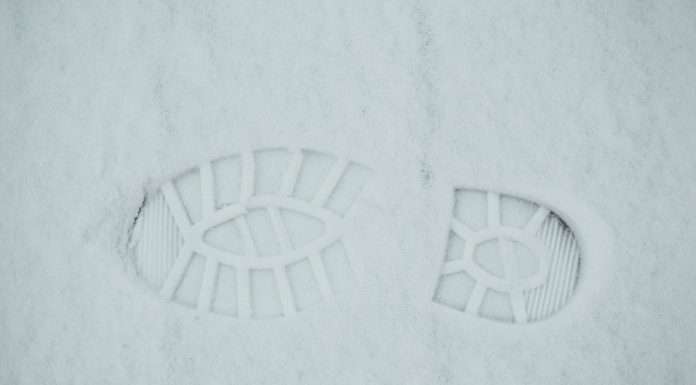 Allianz Trade expands footprint allianz-trade-expands-footprint