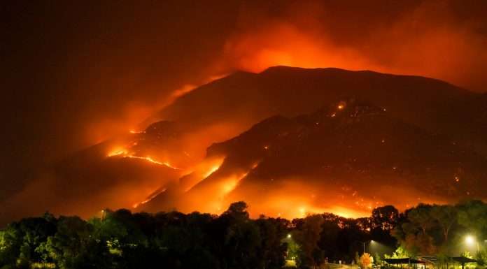 amwins-insurance-launches-specialise-wildfire-product-for-california
