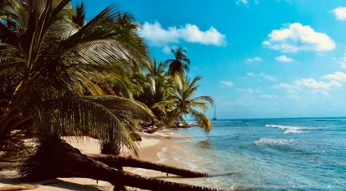 Canopius to offer auto coverage in US Virgin Islands canopoius-to-offer-auto-coverage-in-us-virgin-islands