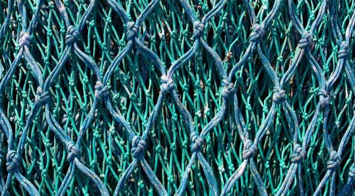 radicant bank teams up with RegTech startup NetGuardians