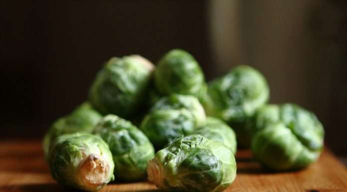 sprout-sets-out-to-reshape-life-insurance-distribution