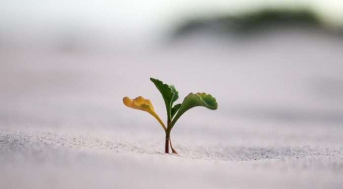 AXA-venture-partners