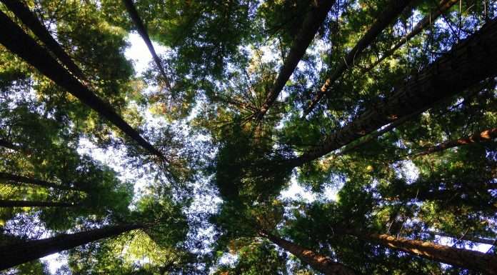 Climate tech firm Pledge secures $10m for logistics decarbonisation