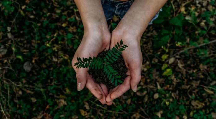 Is ESG a source of risk or an opportunity? ESG