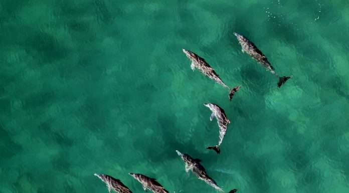 NFU Mutual selects FRISS to automate and streamline trust NFU-mutual-selects-FRISS-to-automate-and-streamline-trust