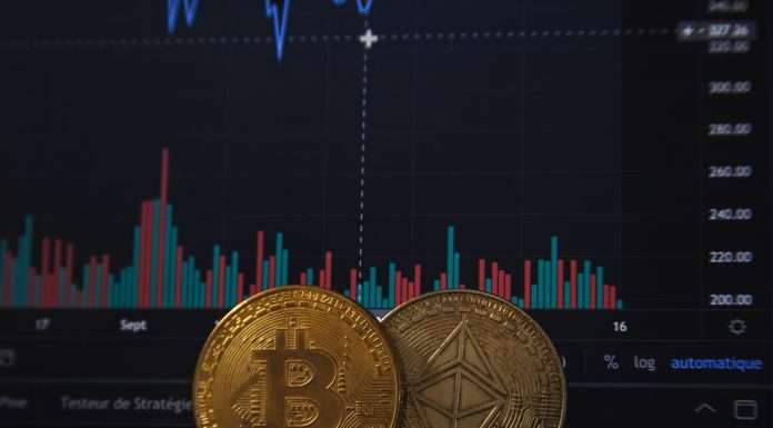 Tangem Raises $7m in Investment Round Led by Shima Capital