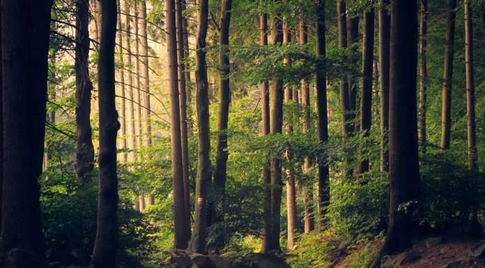 Trends from this year’s European sustainability reporting season Trends from this year's European sustainability reporting season