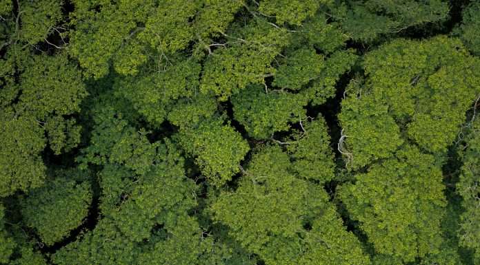 Driving green finance: Ashman Bank scoops £200k grant for decarbonisation innovation driving-green-finance-ashman-bank-scoops-200k-grant-for-decarbonisation-innovation