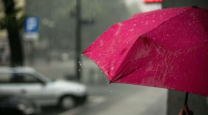 how-insurance-can-be-a-force-for-good-in-pressing-times