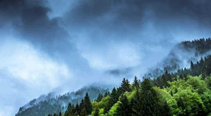 Mitiga Solutions bags €13m in bid to forestall climate disasters with FinTech mitiga-solutions-bags-e13m-in-bid-to-forestall-climate-disasters-with-fintech