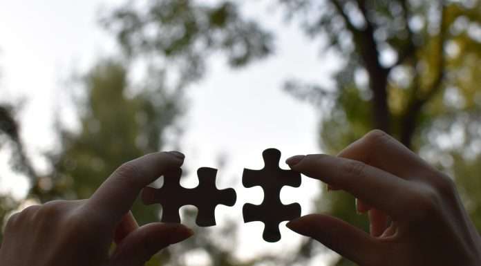 Openly joins forces with Trellis to simplify personal lines insurance openly-joins-forces-with-trellis-to-simplify-personal-lines-insurance