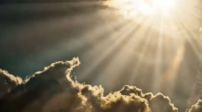 Sunlight and Finovox joins forces to prevent insurance fraud sunlight-joins-forces-with-finovox-to-prevent-insurance-fraud