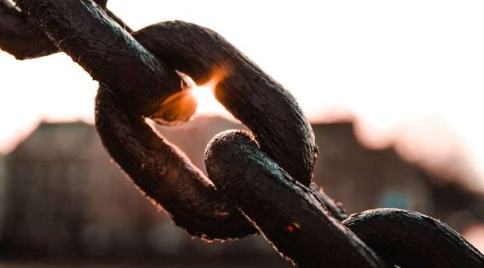 supply-chain-risk-intergity-holistics