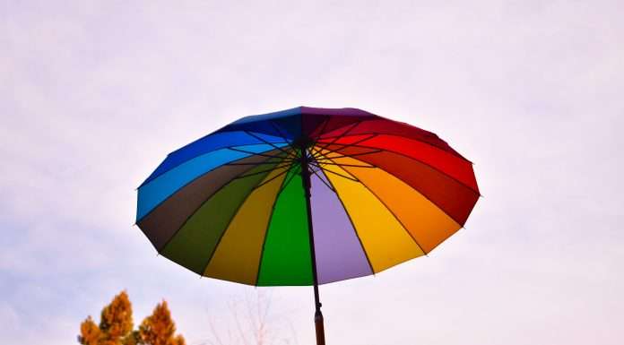 Bdeo locks in €7.5m to revolutionise InsurTech with AI Bdeo locks in €7.5m to revolutionise InsurTech with AI