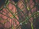 Can blockchain and GDPR harmoniously coexist?