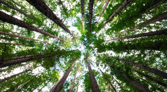 Chicago start-ups set for $10m climate change investment via 2c2i scheme Chicago start-ups set for $10m climate change investment via 2c2i scheme