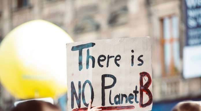 ESAs declare war on greenwashing: How the EU is protecting financial sustainability ESA