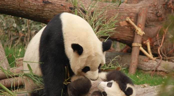 One Trading springs from Bitpanda Pro rebrand and secures $33m investment Bitpanda
