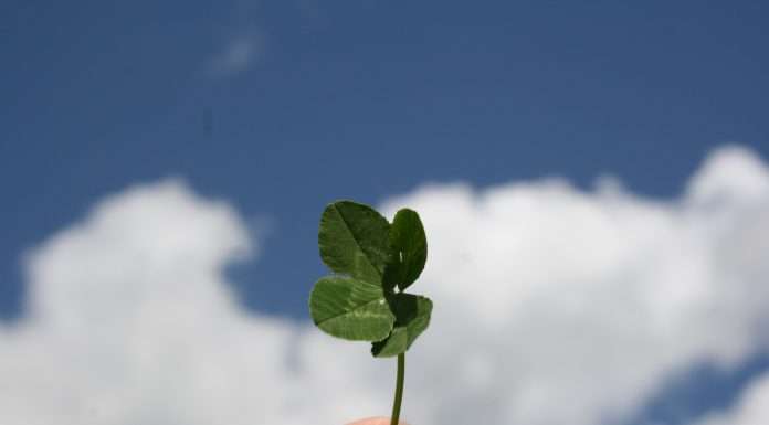 Cloverleaf Analytics Bolsters CURE Auto Insurance’s Claims Process Efficiency